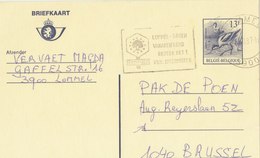Briefkaart Met Kluut + Postmark Lommel. Used!BARGAIN.!! - 1985-.. Birds (Buzin)