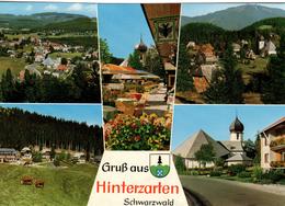 ZX+ Deutschland Hinterzarten - Hinterzarten