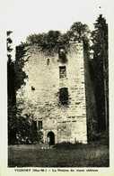 52...haute Marne....vignory....le Donjon Du Vieux Chateau - Vignory