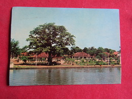 Guinea - Guiné Portuguesa - Paisagem Da Guiné - Guinea-Bissau