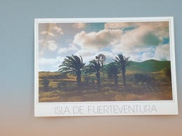 Kanaren, Fuerteventura, Tiscamanita (gelaufen 199?); H26 - Fuerteventura