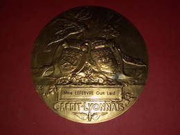 MÉDAILLE BRONZE 1910 HENRI GERMAIN FONDATEUR Du CREDIT LYONNAIS Graveur CH. PILLET  260 Gr. Dia. 81 Mm - Profesionales / De Sociedad