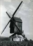 PAMEL - Roosdaal (Vlaams-Brabant) - Molen/moulin - Historische Opname Van De Gewezen Keirekensmolen, Ingestort In 1970. - Roosdaal