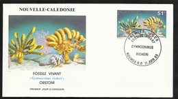 N.C.   Lettre Premier Jour Nouméa Le 11/06/1988 N° 557  Fossile Vivant "Gymnocrinus Richeri"  TB   ! ! ! - Fósiles