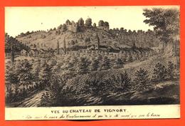 CPA 52 Vignory " Vue Du Chateau " - Vignory