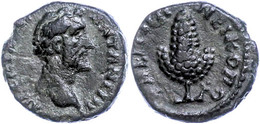 Moesia Inferior, Nikopolis, Æ (2,52g), Antoninus Pius, 138-161. Av: Kopf Nach Rechts, Darum Umschrift. Rev: Weinrebe, Da - Province