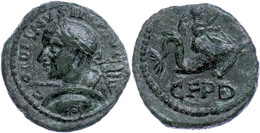 Thrakien, Deultum, Æ (3,67g), Gordianus III., 238-244. Av: Büste Nach Rechts, Darum Umschrift. Rev: Eros Reitet Auf Delp - Provincie