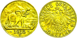 DOA, 15 Rupien, Gold, 1916, Variante Mit Kleiner Arabeske, J. 728a, Ss+., Katalog: J. 728a Ss - Sonstige & Ohne Zuordnung