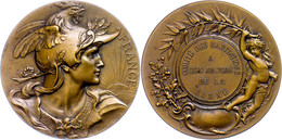 Frankreich, Bronzemedaille (Dm. 50,3 Mm, 70 G), 1880, Von Louis Bottee, Auszeichnungsmedaille, Av: Brustbild Personifizi - Sonstige & Ohne Zuordnung