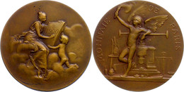 Frankreich, Bronzemedaille (Dm. 50 Mm, 60,8 G), 1900, Von D. Dupuis, Neujahrsmedaille Von Der Pariser Münze, Av: Stehend - Other & Unclassified