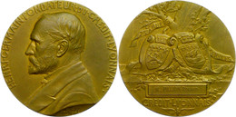 Frankreich, Bronzemedaille (Dm. 80 Mm, 226 G), 1910, Von Pillet, Prämienmedaille Des Credit Lyonnais Für 25jährige Tätig - Other & Unclassified