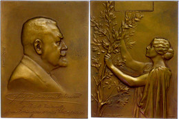 Österreich, Bronzeplakette (80x59 Mm, 160,5 G), 1912, Von Stefan Schwartz, Auf Fritz Dobner Von Dobenau Kunstrat, Hochad - Other & Unclassified