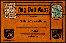 1913, 1 M. Gelber Hund Auf Entsprechender Flugpostkarte Mit 5 Pfg. Germania Und Flugstempel Darmstadt 19.6. An Die Palai - Sonstige & Ohne Zuordnung