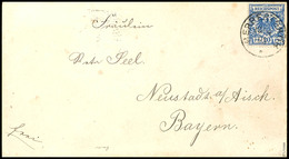 20 Pfg. Violettultramarin Mit Ekr. "HERBERTSHÖH 10.4.95" Auf Brief Nach Neustadt A.A. Mit Ankunftsstempel, Signiert Mans - Deutsch-Neuguinea