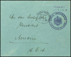 Postdirektor, Frankiert Mit 7 1/2 H, In Violett, Stempel Mittellandbahn, Zug ( Ohne Nummer ), 17.4.16 A, Nach Amani, Ord - Africa Orientale Tedesca