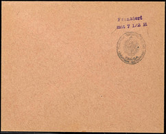 Vorausfrankatur Dienstsiegel "KAISERL. DEUTSCHES POSTAMT TANGA", L2 "Frankiert / Mit 7 1/2 H." Violett, Großformat, Unge - German East Africa