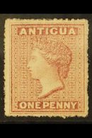 1863-67  1d Rosy Mauve, Watermark Small Star, Rough Perf 14-16, SG 5, Very Fine Mint With Original Gum. For More Images, - Other & Unclassified