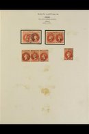 SOUTH AUSTRALIA  1855 TO 1900 VERY FINE EARLY COLLECTION. An Intriguing Collection Of Used Stamps In Better Than Normal  - Other & Unclassified