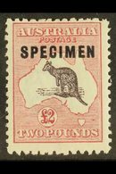 1915-27  £2 Purple-black & Pale Rose Kangaroo With "SPECIMEN" Overprint Type C (SG 45bs, BW 56xb), Fine Mint With Minima - Autres & Non Classés