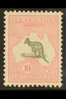 1929  10s Grey And Pink, Wmk Mult Crown And A, Kangaroo, SG 112, Superb Mint. For More Images, Please Visit Http://www.s - Other & Unclassified