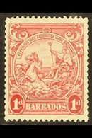 1938-47  1d Scarlet, Perf 13½ X 13, SG 249, Very Fine Mint. For More Images, Please Visit Http://www.sandafayre.com/item - Barbades (...-1966)