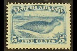 1880-82  5c Pale Dull Blue Common Seal, Perf 12, SG 48, Fine Mint With Original Gum. For More Images, Please Visit Http: - Altri & Non Classificati
