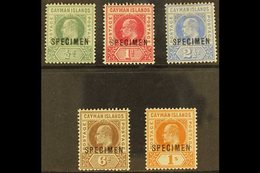 1902-3  KEVII Wmk Crown CA Set, Overprinted "SPECIMEN," SG 3s/7s, Mint (5). For More Images, Please Visit Http://www.san - Kaimaninseln