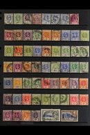 PERFINS  1900's-1950's Interesting collection Of Used Stamps With Various Private COMMERCIAL PERFINS Presented On A Two- - Ceylon (...-1947)