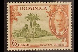 1951 VARIETY  6c Olive And Chestnut "Botanical Gardens", Variety "A Of CA Missing From Wmk", SG 126b, Very Fine Barely H - Dominica (...-1978)