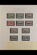 1944 DEPENDENCY OVERPRINTS  Fine Mint Collection On Display Pages With Multiple Sets Including Shades And Blocks. (70 St - Falklandinseln