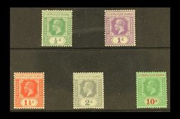 1922-27  KGV Definitives Die II Set, SG 27/35, Fine Mint (5 Stamps) For More Images, Please Visit Http://www.sandafayre. - Gilbert- Und Ellice-Inseln (...-1979)