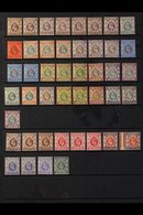 1903-1907 MINT ASSEMBLY  On A Stock Page, Includes 1903 Set To 5c (x3 Examples), 8c (x3), 10c (x3), 12c (x3), 20c & 50c  - Sonstige & Ohne Zuordnung