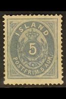 1876  5aur Blue, Perf 14x13½, Fac. 9, Fresh Mint Appearance But With Adherance On Reverse. Cat Fac. 4000kr (£340) For Mo - Andere & Zonder Classificatie