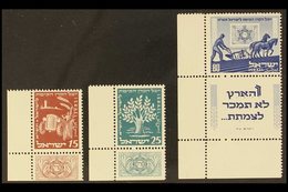 1951  Jewish National Fund Set In Full Tabbed Corners, SG 58/60, Very Fine Mint. (3 Stamps) For More Images, Please Visi - Altri & Non Classificati