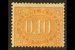 POSTAGE DUES  1869 10c Orange-brown (SG D21, Sassone 2), Mint, Reinforced Corner Perf, Cat £5,500. For More Images, Plea - Non Classificati