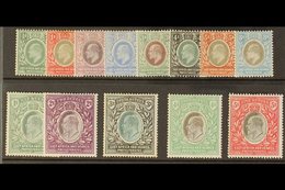 1903 - 04  Ed VII Set Complete To 5r, Wmk CA, SG 1-13, Very Fine And Fresh Mint. (13 Stamps) For More Images, Please Vis - Vide