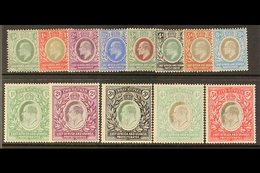 1904 - 07  Ed VII Set Complete To 5r, Wmk MCA, SG 17/30, Very Fine Mint. (13 Stamps) For More Images, Please Visit Http: - Vide