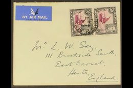 1938-54  50c Purple & Black Perf 13x12½ DOT REMOVED IN PAIR WITH NORMAL Variety, SG 144eb, Very Fine Used On 1951 Airmai - Vide