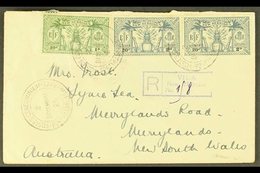 ENGLISH  1925 (Dec) An Attractive Commercial Envelope Registered To New South Wales, Bearing 1925 1d And Pair Of 2d Tied - Sonstige & Ohne Zuordnung