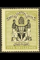 1895  5s Black And Olive, No Wmk, Arms, SG 28, Fine Mint. For More Images, Please Visit Http://www.sandafayre.com/itemde - Nyassaland (1907-1953)