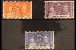 1937 CORONATION SPECIMENS.  A Coronation Set, Perforated "Specimen", SG 185s/7s, Very Fine Mint. (3 Stamps) For More Ima - Sierra Leone (...-1960)