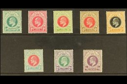 NATAL  1904 Ed VII Set, Wmk MCA, Complete To 2s 6d, SG 146/57, Vf Mint. (8 Stamps) For More Images, Please Visit Http:// - Unclassified