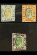 TRANSVAAL  1904 - 09 2½d, 6d And £1 On Chalk Paper, SG 253b, 266a, 272a, All Very Fine And Fresh Mint. (3 Stamps) For Mo - Non Classés