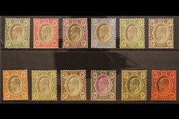 TRANSVAAL  1902 KEVII CA Wmk Definitive Set, SG 244/55, Fine Mint (12 Stamps) For More Images, Please Visit Http://www.s - Unclassified