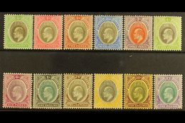 1904-09  KEVII Definitive Set, SG 21/32ab, Some Light Tone To Some Low Values, 10s & £1 Very Fine Mint (12 Stamps) For M - Nigeria (...-1960)