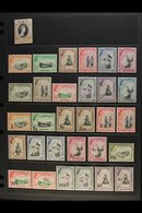 1953-68 QEII MINT / NHM COLLECTION  An Attractive, COMPLETE "Basic" Collection From Coronation To Independence, SG 52/16 - Swasiland (...-1967)