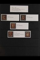 1854-61  LINE ENGRAVED "STARS" ISSUES - USED COLLECTION On Stock Pages, We See 1854-61 1d & 2d Values With Examples Of M - Other & Unclassified