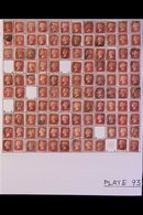 1858-79 PENNY RED PLATE RECONSTRUCTIONS.  A Virtually Complete Reconstruction Of PLATES 90 TO 93, We See 910+ Stamps Of  - Other & Unclassified