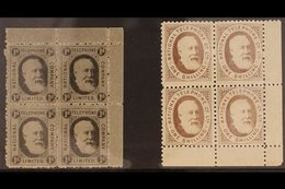 1884 NATIONAL TELEPHONE COMPANY  1d Black And 1s Brown, Barefoot 1 And 5, Both In Very Fine Mint Corner Marginal BLOCKS  - Andere & Zonder Classificatie