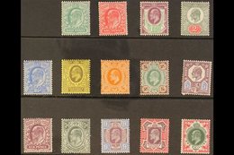 1902-13  Simplified Set Complete To 1s, SG 215/314, Never Hinged Mint (15 Stamps) For More Images, Please Visit Http://w - Ohne Zuordnung